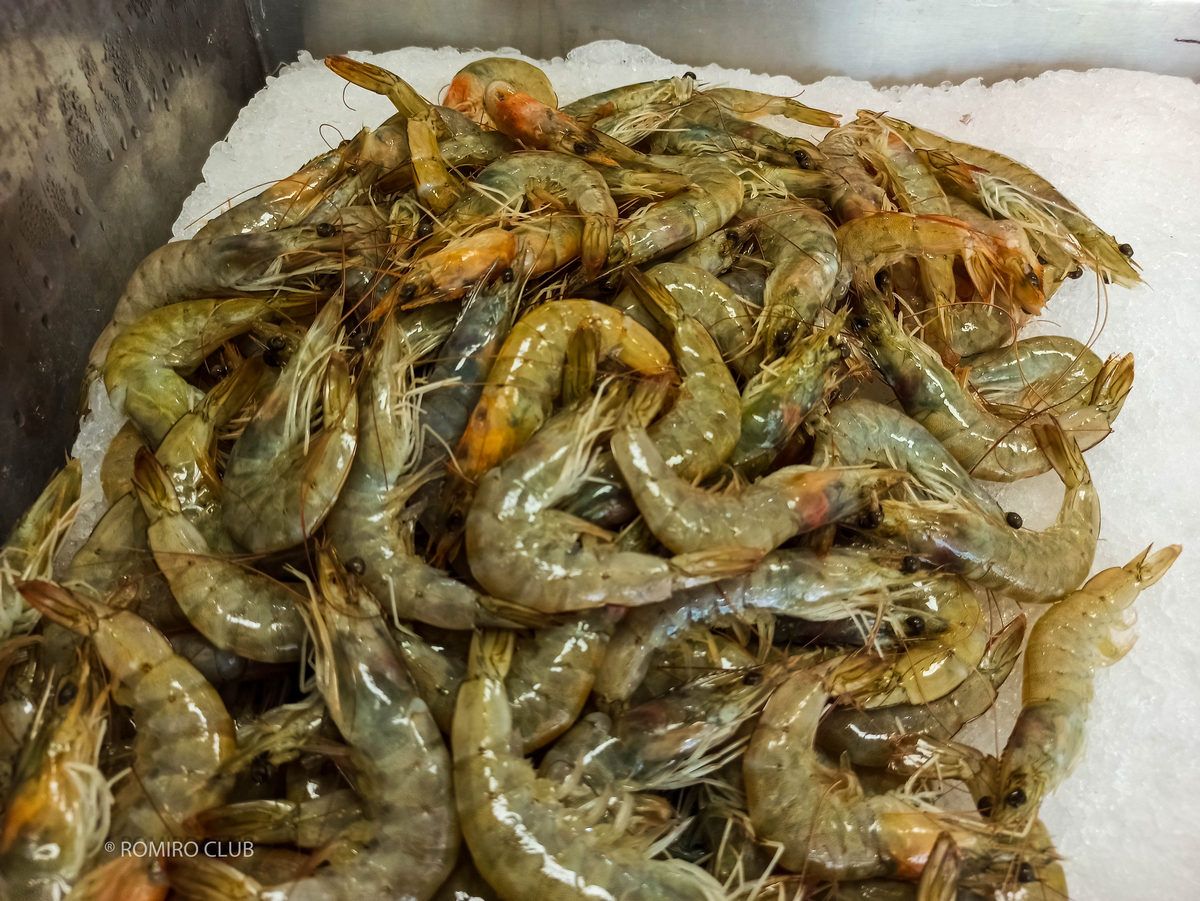 рыба с доставкой на дом Будва