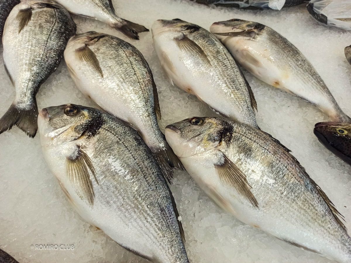 рыба с доставкой на дом Будва