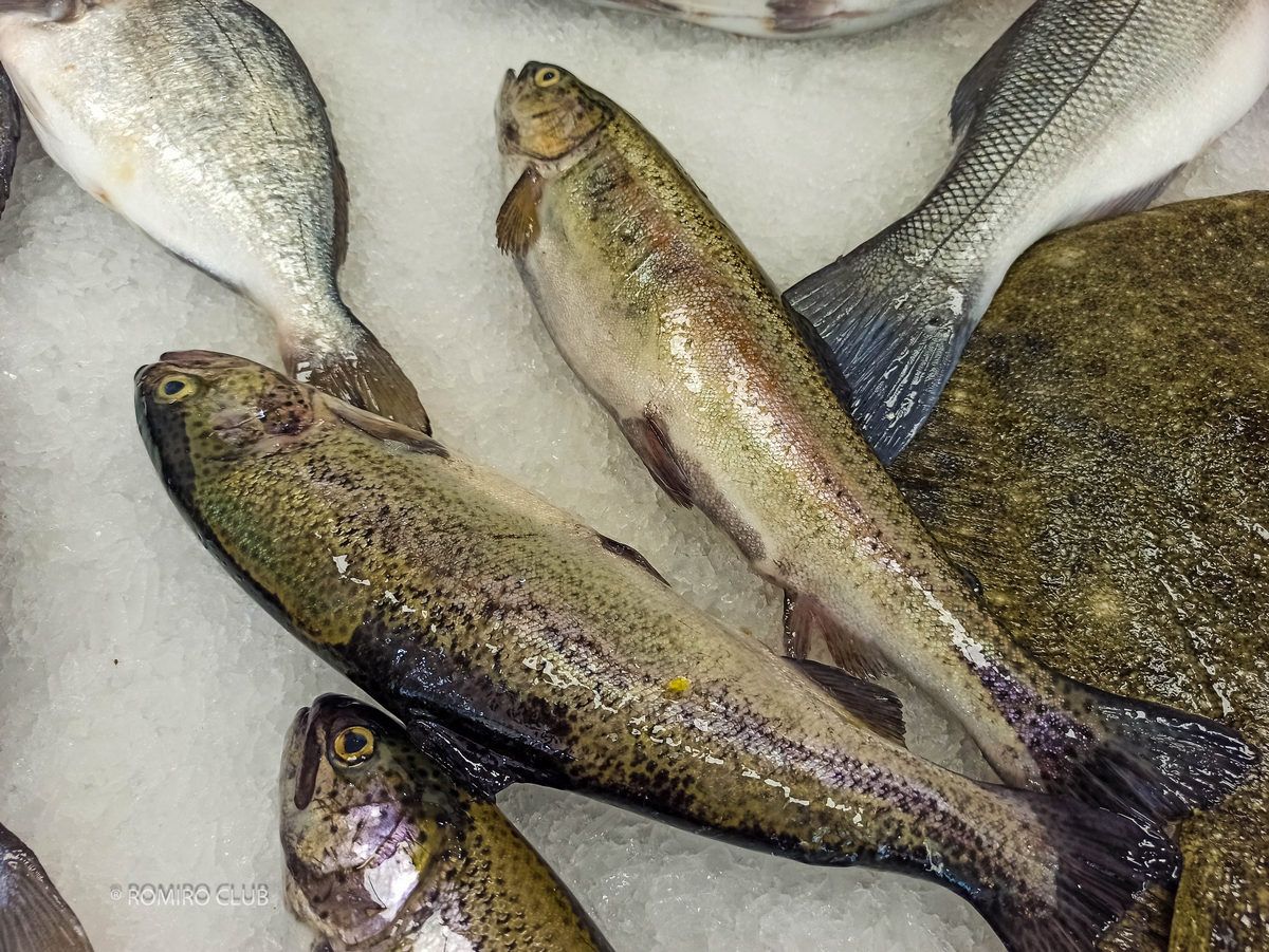 рыба с доставкой на дом Будва