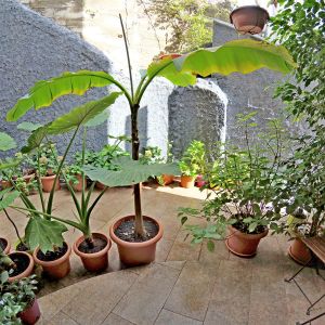 Апартамент №6 у моря без посредников Villa Wellness 